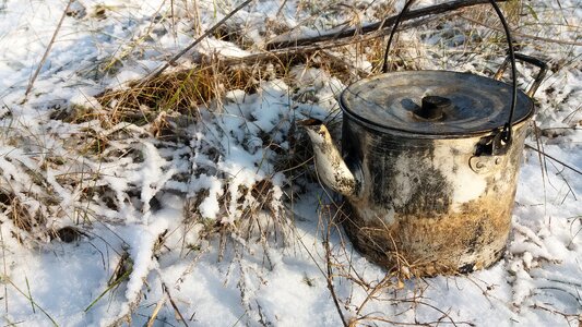 Snow nature tea photo