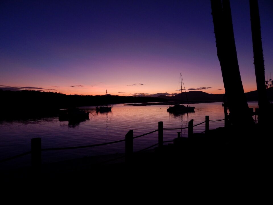 Purple cardwell night