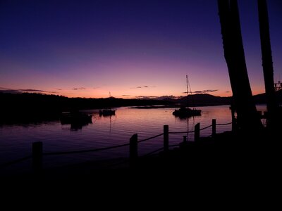 Purple cardwell night