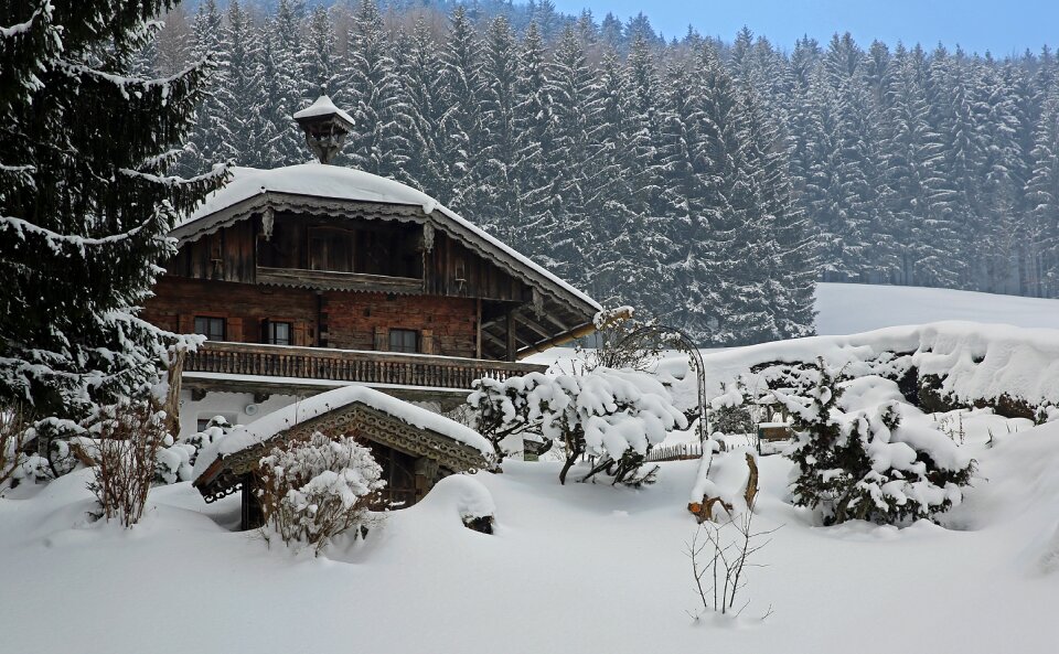 Landscape snow white