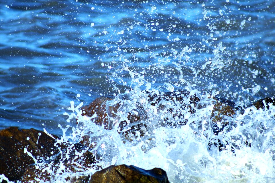 Water beach nature
