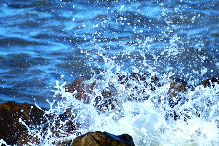 Water beach nature