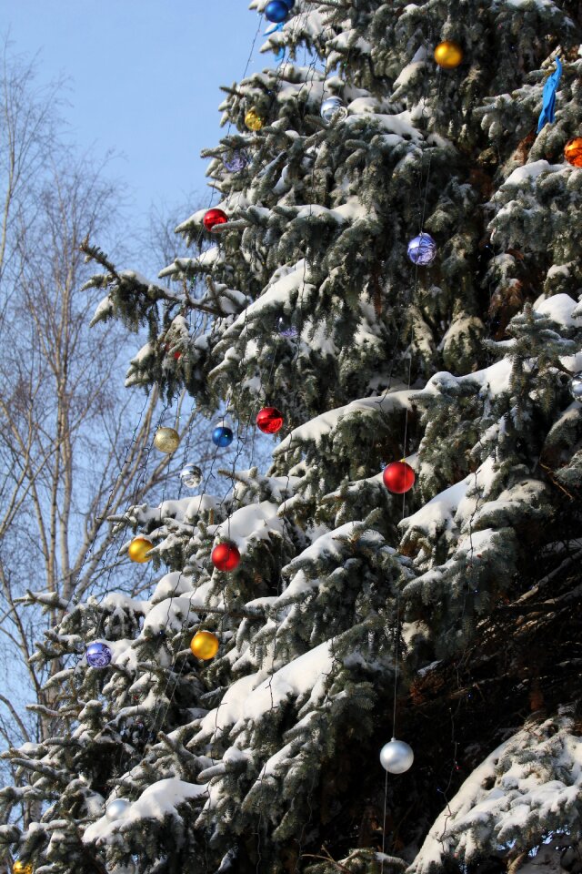 Snow new year