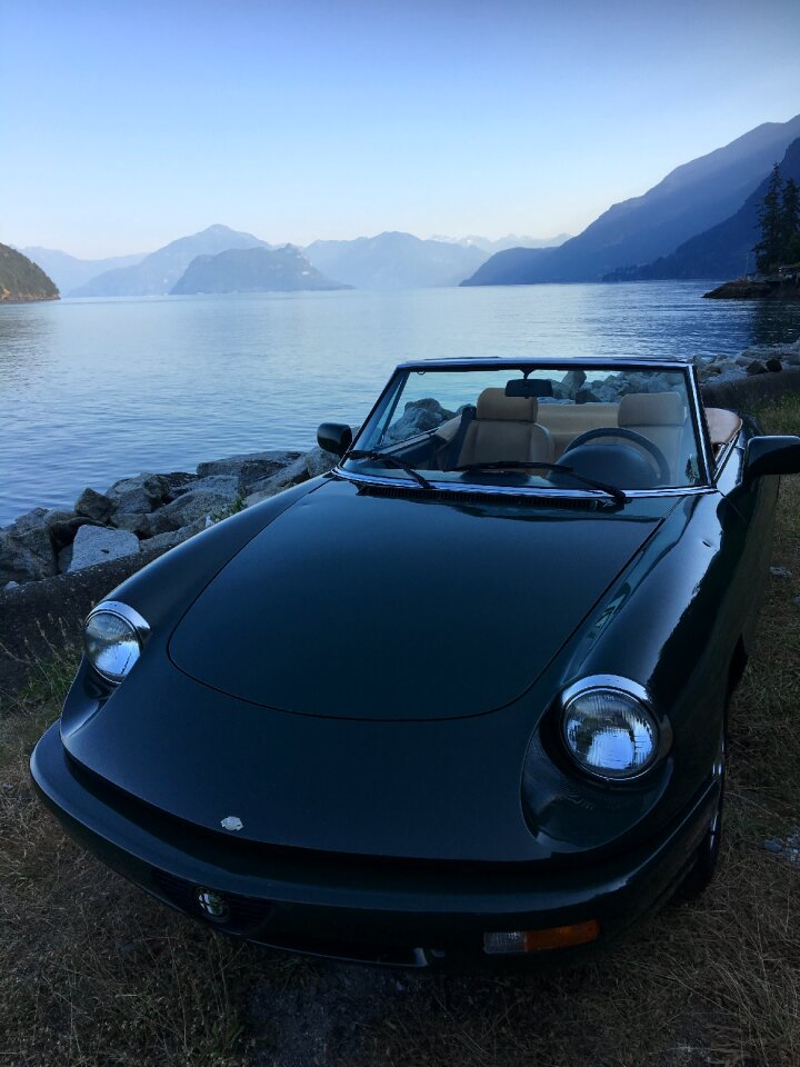 Alfaromeospyderce stewartirvine