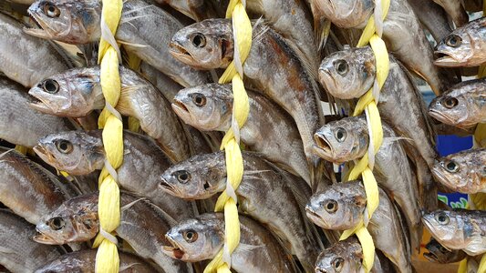 Face service seafood food