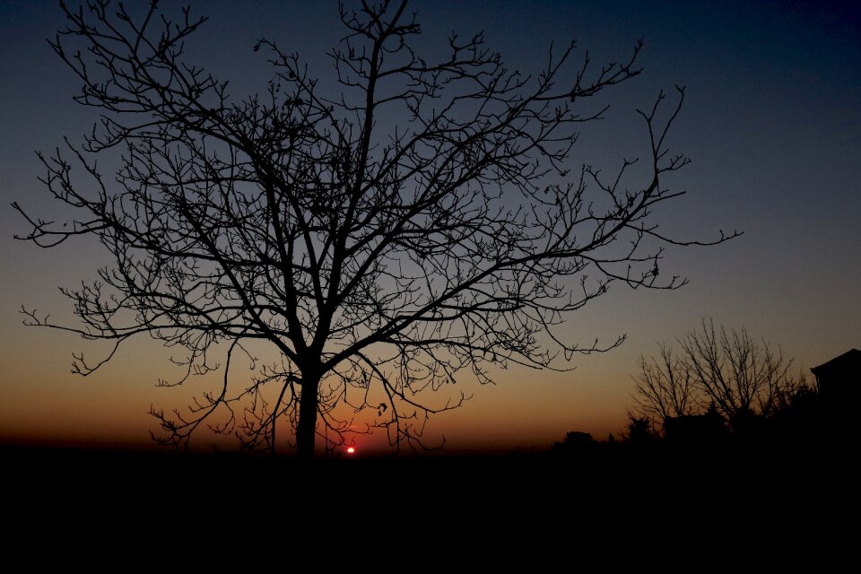Evening sun nostalgia