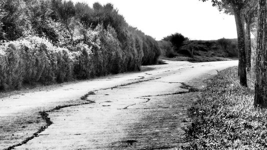 Path nostalgia old