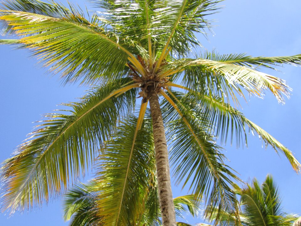 Sky tropical paradise