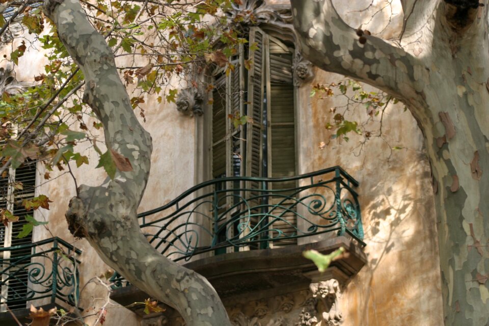 Window europe tourism