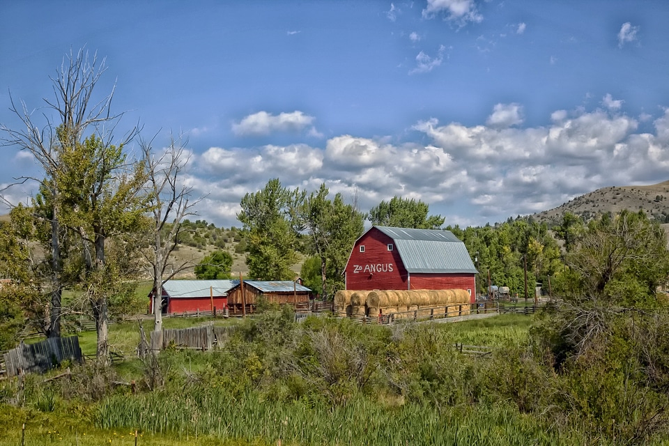 Rural landscape scenic