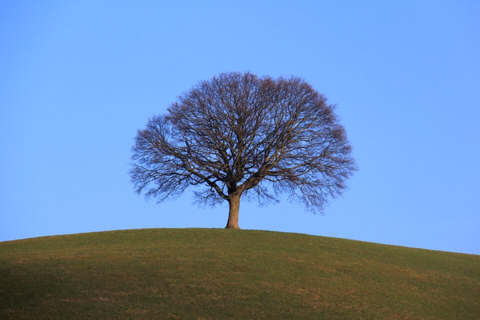 Lonely landscape nature