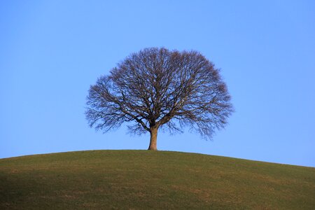 Lonely landscape nature