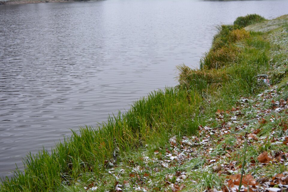Coast of a river coast of a pond