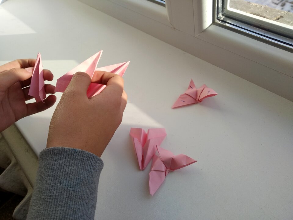 Airplanes window school