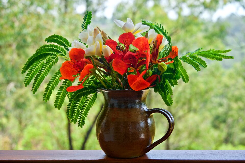 Bloom floral flora