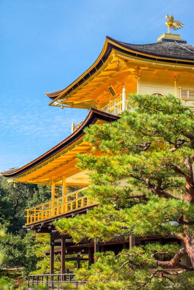 Gold golden tree