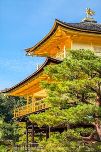 Gold golden tree