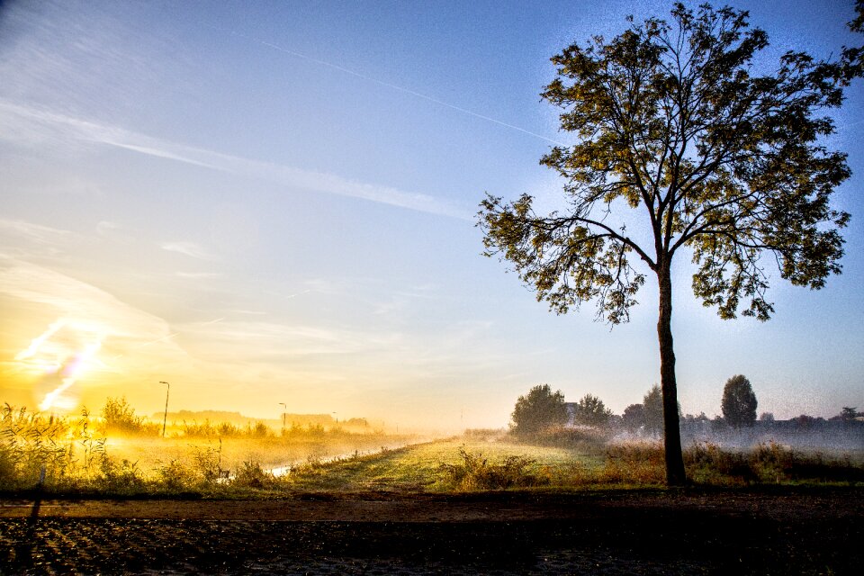Water trees landscape