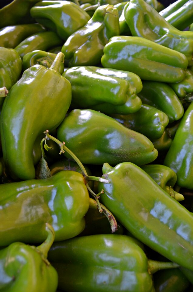 Pepper vegetables green