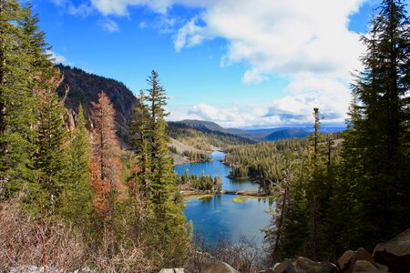Lake forest