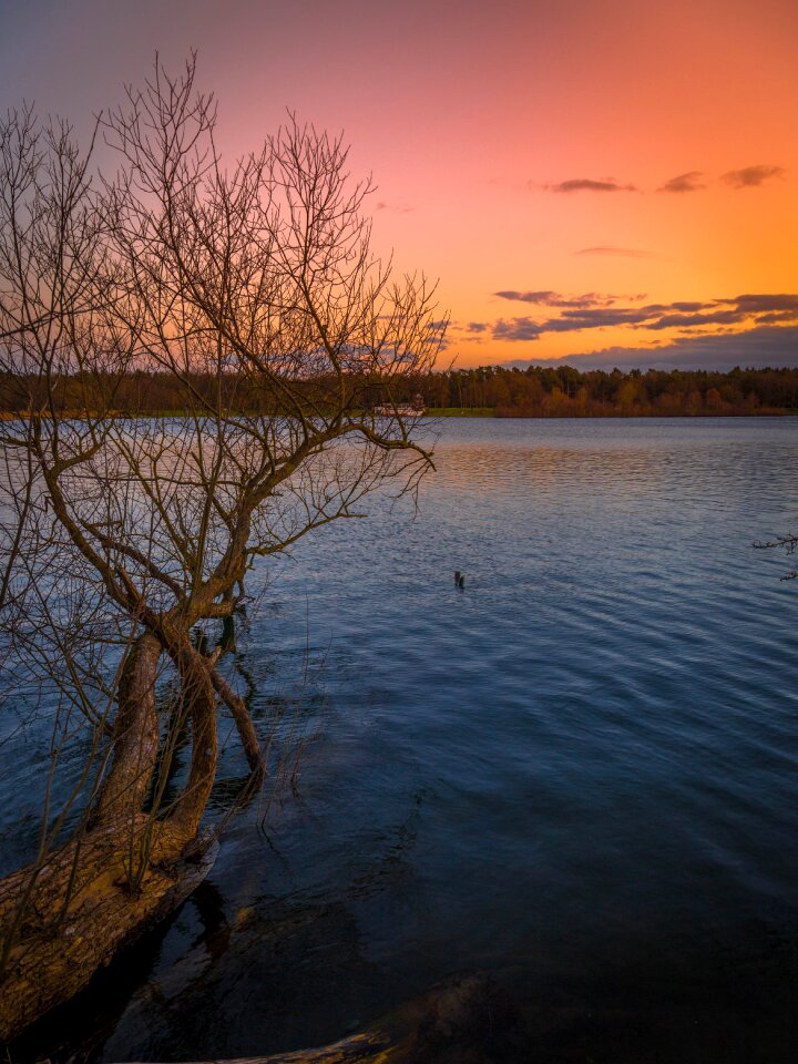 Landscape nature joy