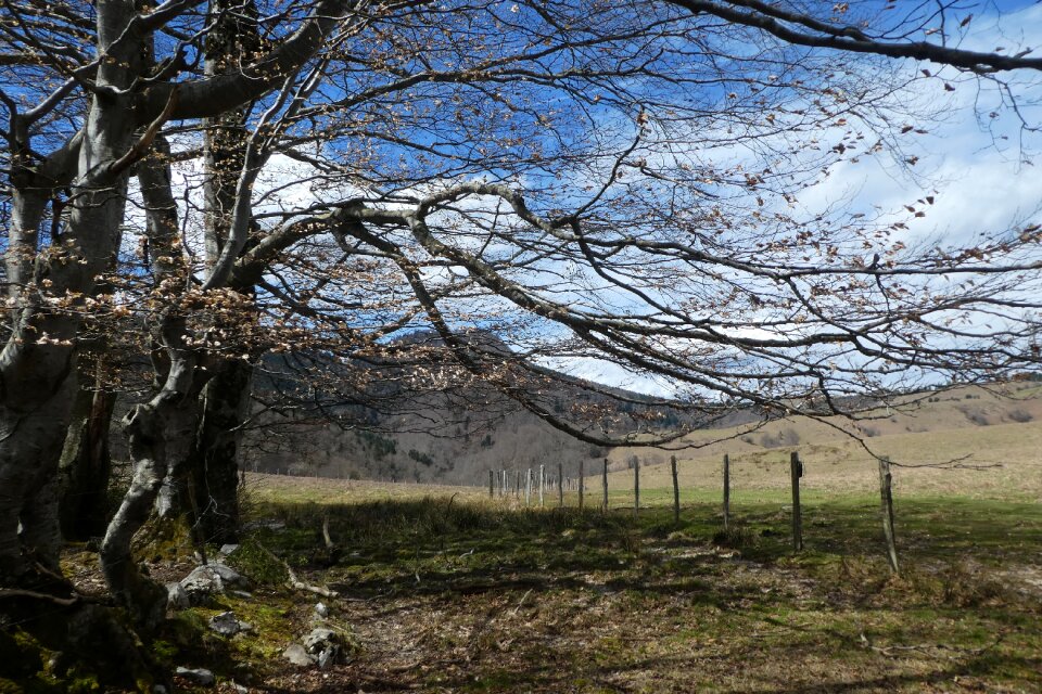 Bagnères-baudéan pyrénées mountain