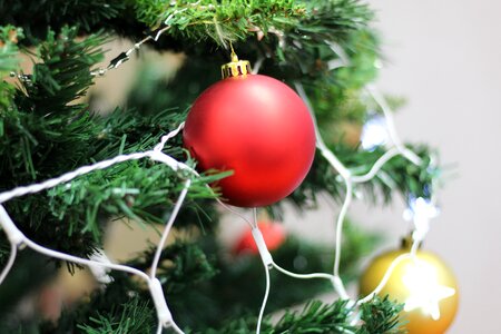 Christmas christmas ornament christmas tree