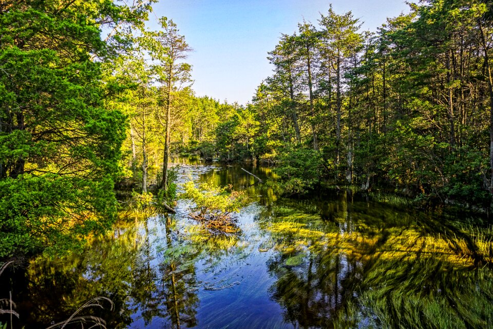 Green outdoor flow