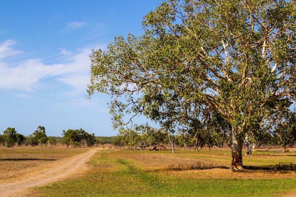 Landscape nature path