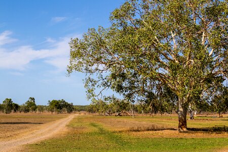 Landscape nature path photo