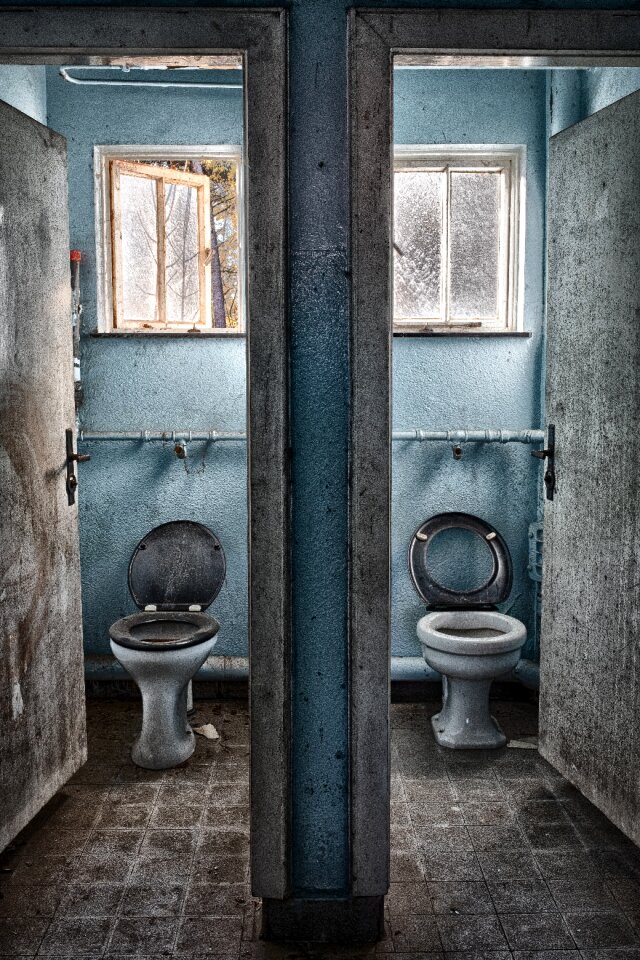 Loo latrine architecture