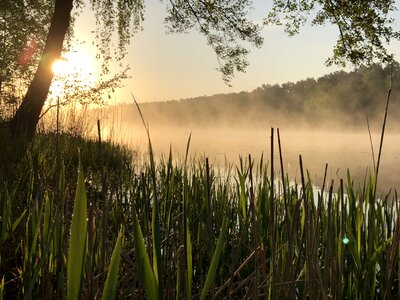 Sunrise brandenburg lake photo