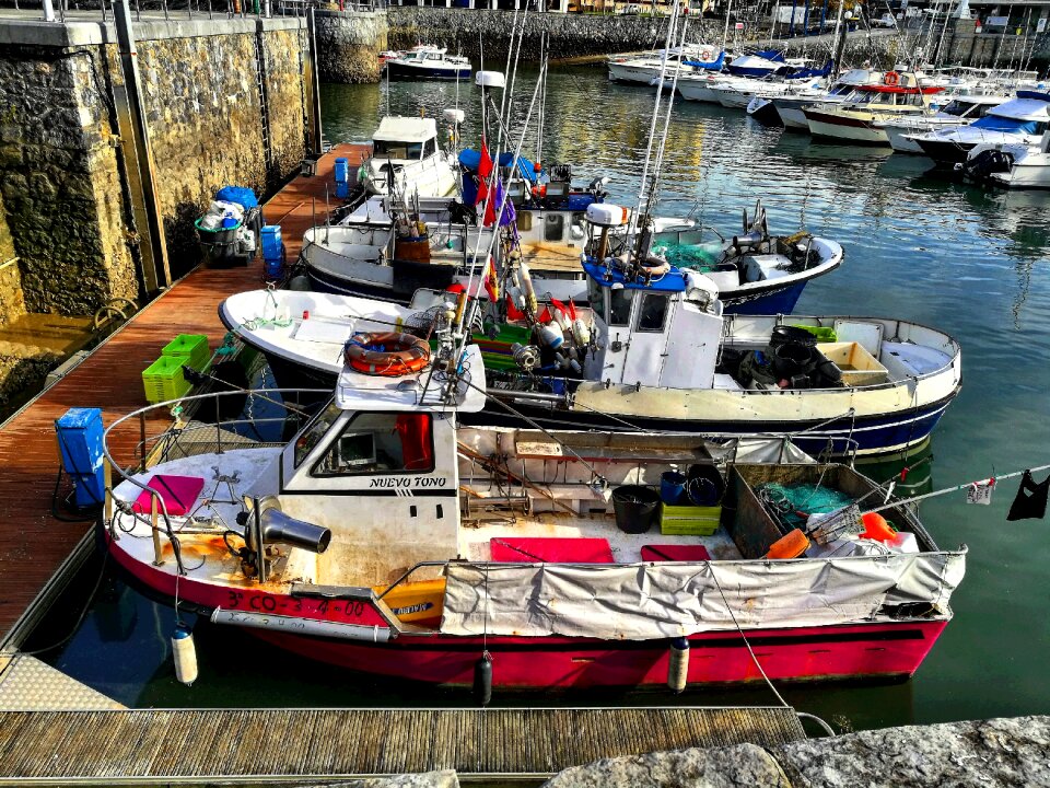Spring sea plencia