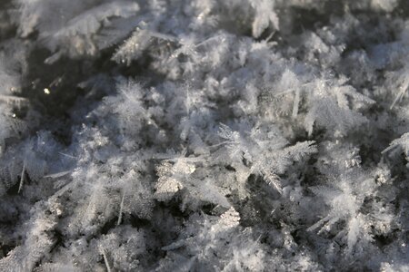 Cold snowflake snowflakes photo