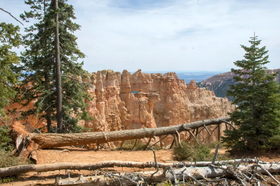 Landscape canyon usa