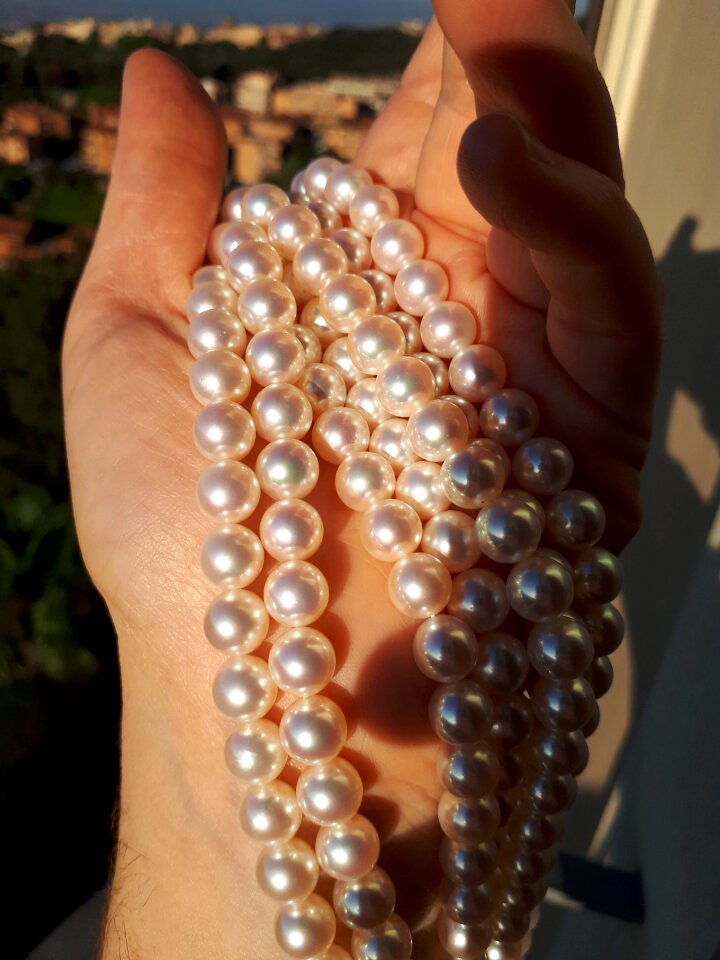 Jewelry rosa spring
