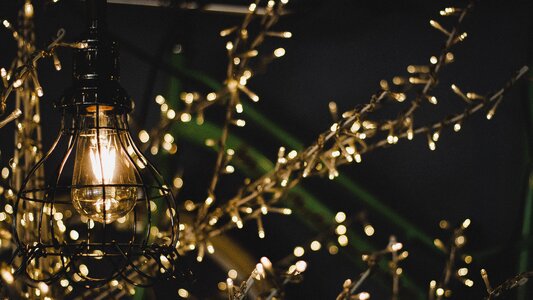 Vintage christmas tree gray restaurant