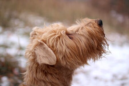 Snow love happiness