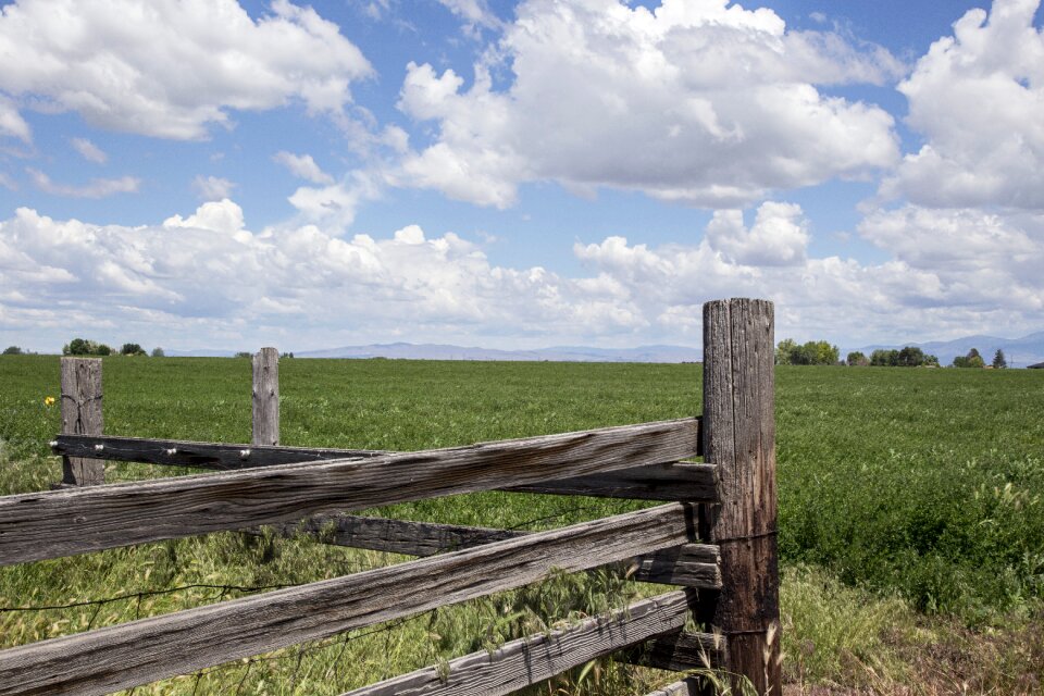 Fence post view field