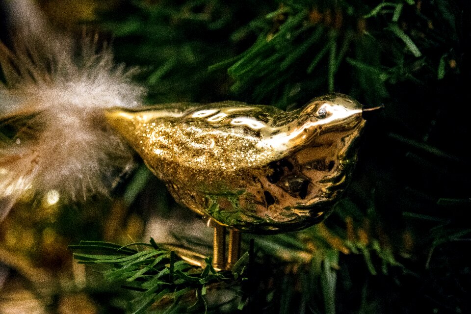 Decoration christmas decoration christmas time