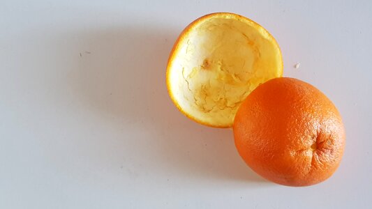 Peel scorza citrus fruits photo