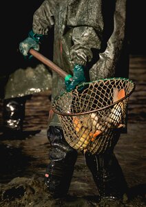 Pond fish fisherman