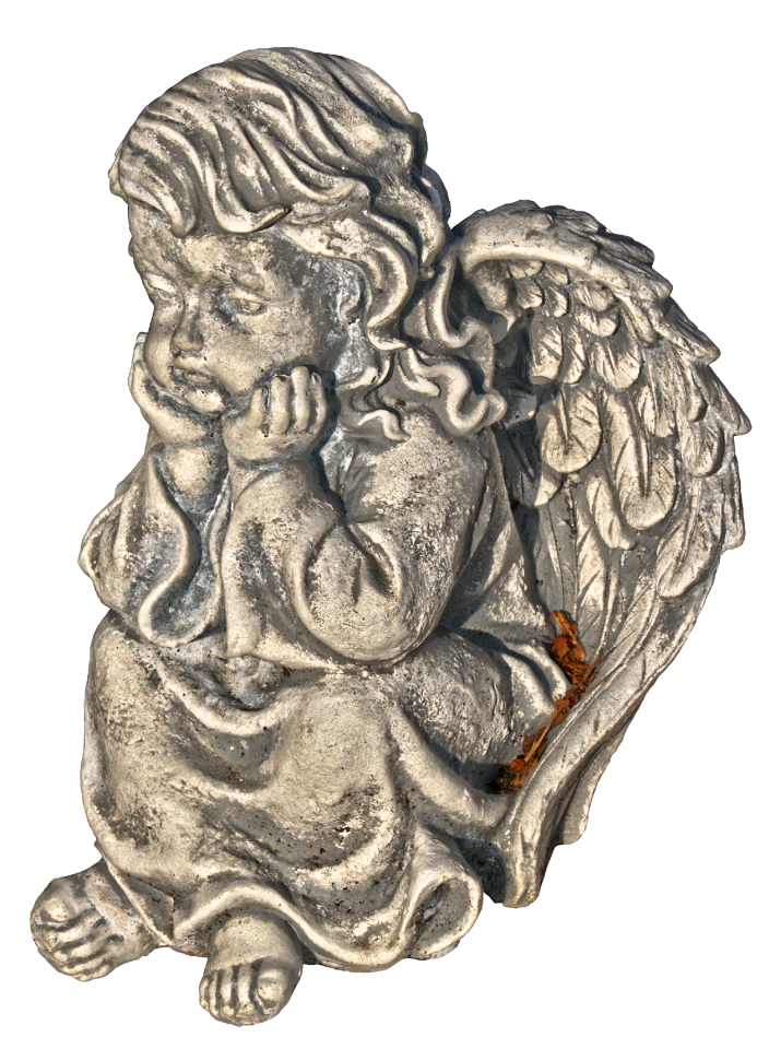 Wing female thoughtful