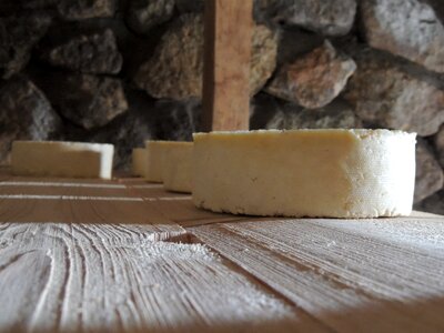 Cheese maturation cellar