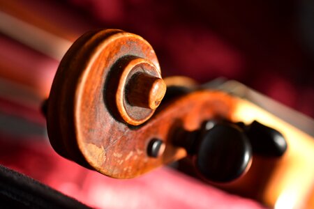 Wood brown musical instrument photo