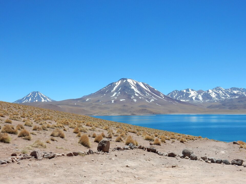 Chile laguna miniques desert