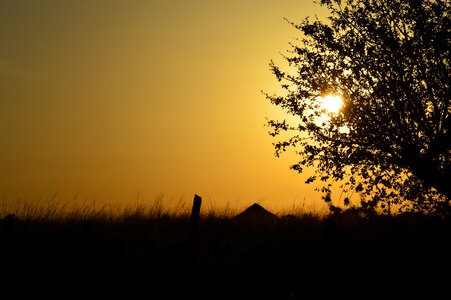 Northern uganda golden sunset photo