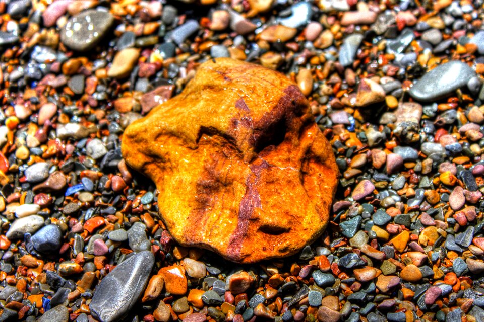 Texture nature colourful