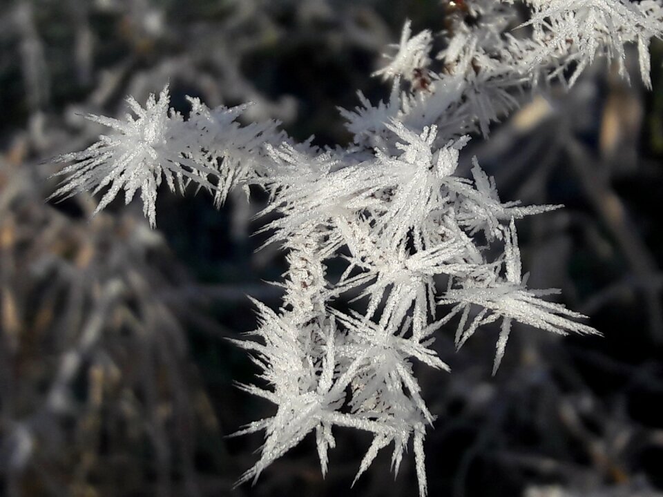 Cold frozen outdoor