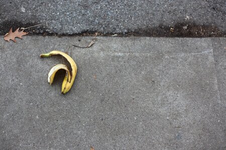 Minimalism waste organic